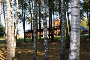 Pokylių salė tarp medžiu, Bogdano Sodyboje
